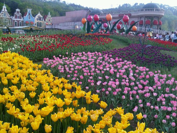 ทัวร์ดอยวาวี